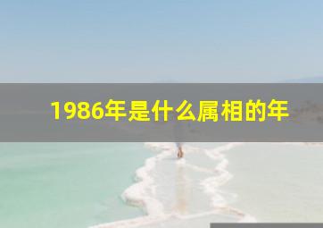 1986年是什么属相的年