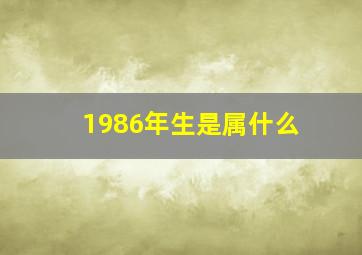 1986年生是属什么