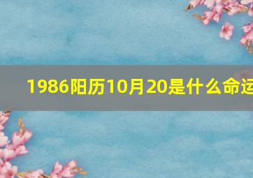 1986阳历10月20是什么命运