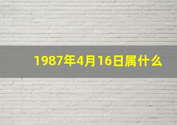 1987年4月16日属什么