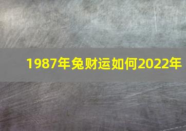 1987年兔财运如何2022年