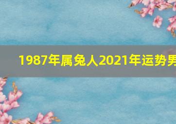 1987年属兔人2021年运势男