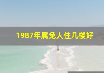 1987年属兔人住几楼好