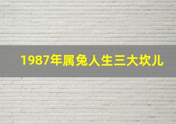 1987年属兔人生三大坎儿