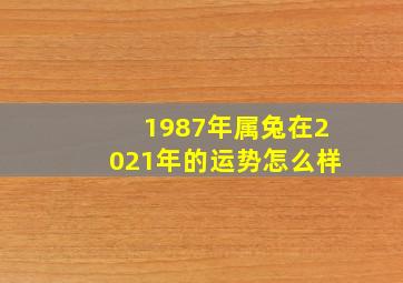 1987年属兔在2021年的运势怎么样