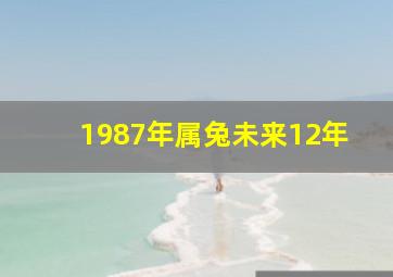 1987年属兔未来12年