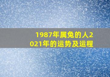 1987年属兔的人2021年的运势及运程