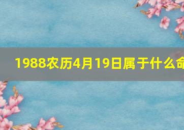 1988农历4月19日属于什么命