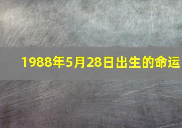 1988年5月28日出生的命运