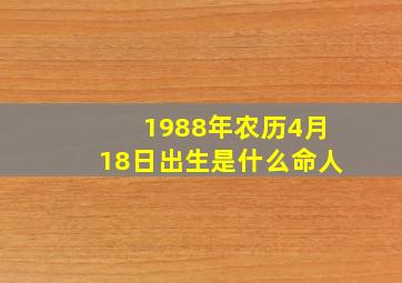 1988年农历4月18日出生是什么命人