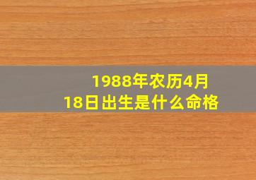 1988年农历4月18日出生是什么命格