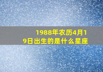 1988年农历4月19日出生的是什么星座