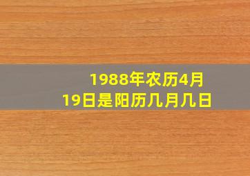 1988年农历4月19日是阳历几月几日