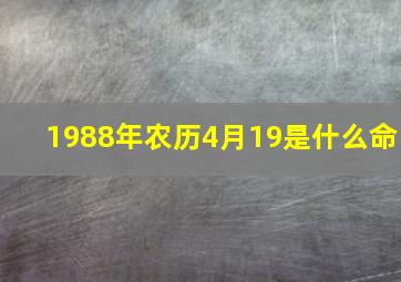 1988年农历4月19是什么命