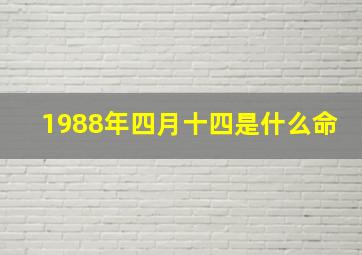 1988年四月十四是什么命