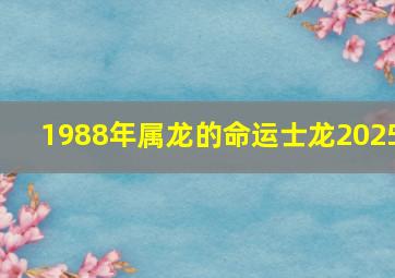 1988年属龙的命运士龙2025