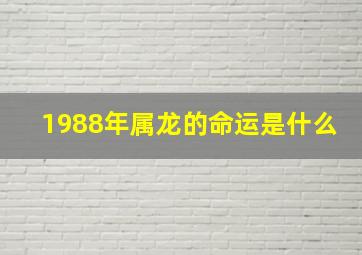 1988年属龙的命运是什么