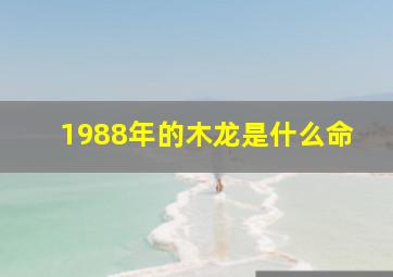 1988年的木龙是什么命