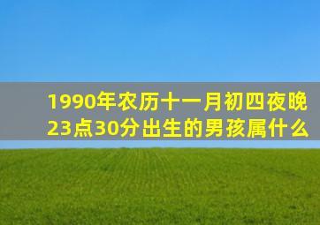 1990年农历十一月初四夜晚23点30分出生的男孩属什么