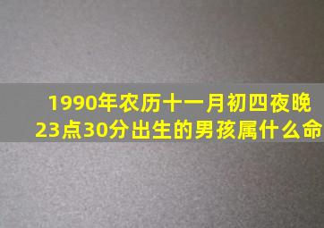 1990年农历十一月初四夜晚23点30分出生的男孩属什么命