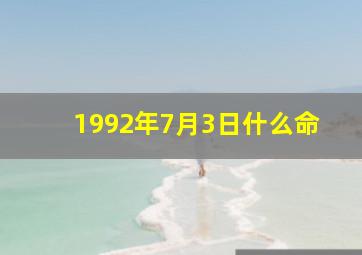 1992年7月3日什么命