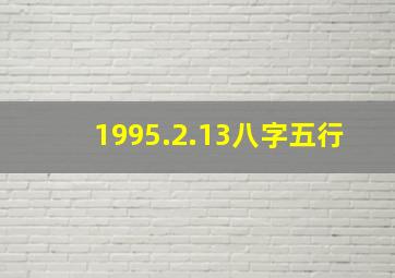 1995.2.13八字五行