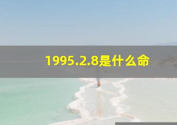 1995.2.8是什么命