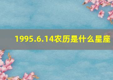 1995.6.14农历是什么星座