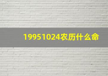 19951024农历什么命