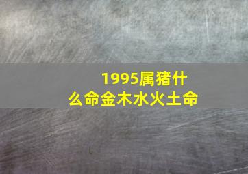 1995属猪什么命金木水火土命