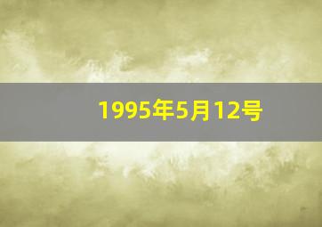 1995年5月12号