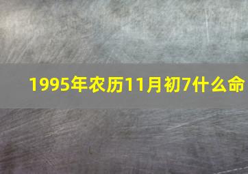 1995年农历11月初7什么命