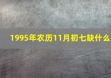 1995年农历11月初七缺什么