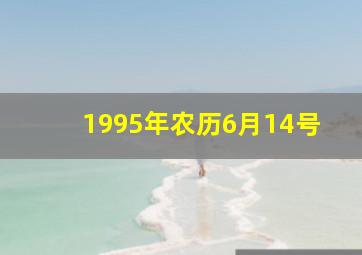 1995年农历6月14号