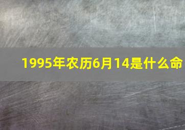 1995年农历6月14是什么命