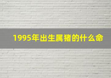 1995年出生属猪的什么命