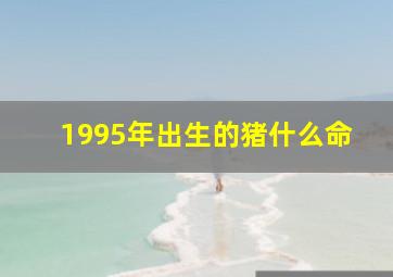 1995年出生的猪什么命