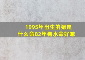 1995年出生的猪是什么命82年狗水命好嘛