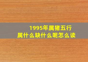 1995年属猪五行属什么缺什么呢怎么读