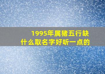 1995年属猪五行缺什么取名字好听一点的