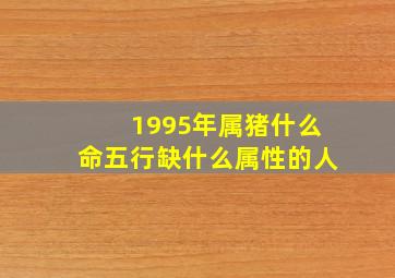 1995年属猪什么命五行缺什么属性的人