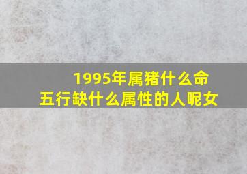 1995年属猪什么命五行缺什么属性的人呢女