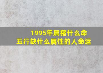 1995年属猪什么命五行缺什么属性的人命运