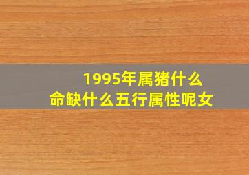 1995年属猪什么命缺什么五行属性呢女