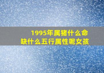 1995年属猪什么命缺什么五行属性呢女孩