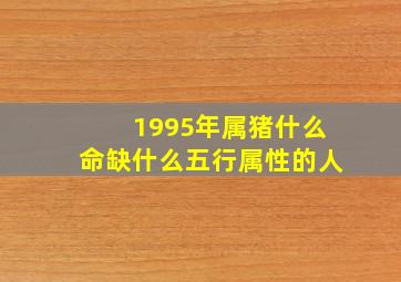 1995年属猪什么命缺什么五行属性的人