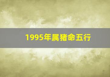 1995年属猪命五行