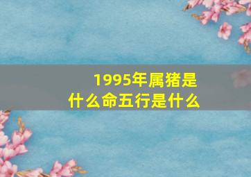 1995年属猪是什么命五行是什么