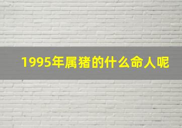 1995年属猪的什么命人呢