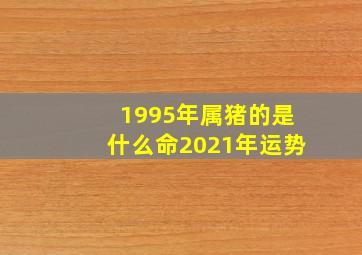 1995年属猪的是什么命2021年运势